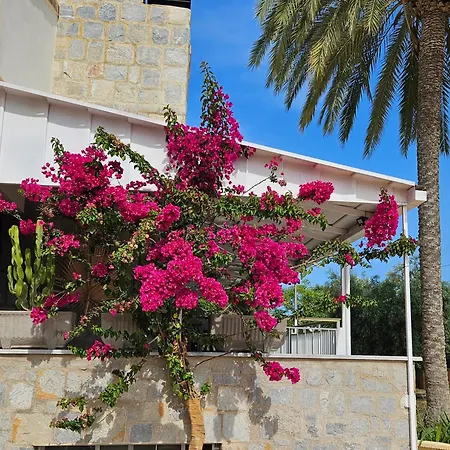 Villa Chale Entero Con Piscina, 700 M Playa Muchavista - Playa San Juan